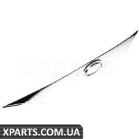 Trunk Tailgate Trim molding