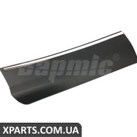 Rear Door Plate