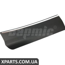 Rear Door Plate