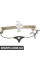Rear Window Regulator