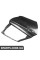 Rear Door Plate