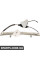 Front Window Regulator Kit