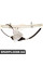 Front Window Regulator Kit