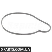 BACB11U17005 Bapmic Прокладка водяного насоса двигуна BACB11U17005 Bapmic Прокладка водяного насоса двигуна