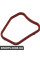 Thermostat Gasket