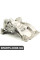 BACB12229001 Bapmic Масляний насос