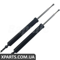 Задній амортизатор Bapmic BACB12588020 (аналог 33526855243)