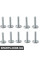 Transmission Oil Pan Bolt