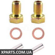 Engine Oil Drain Plug