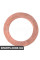 Engine Oil Drain Plug