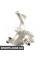 Rear Axle Steering Knuckle