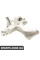 Rear Axle Steering Knuckle