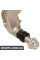 Rear Brake Caliper Bracket