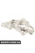 BACB56552001 Bapmic Поворотний кулак переднього мосту
