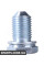Engine Oil Drain Plug
