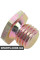 Engine Oil Drain Plug