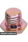Engine Oil Drain Plug