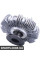 Radiator Fan Clutch