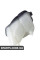 BF0426720012 Bapmic Розширювальний бак