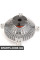 Radiator Fan Clutch