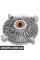 Radiator Fan Clutch