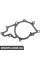 Engine Water Pump