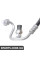 Condenser Evaporator Pressure Hose