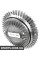 Radiator Fan Clutch