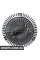 Radiator Fan Clutch