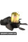 Electric Cooling Fan