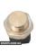 Radtiator Fan Temperature Switch