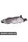 BF0216300024 Bapmic Протитуманні фари