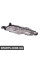 BF0216300025 Bapmic Протитуманні фари