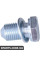 BF0423210004 Bapmic Пробка зливу моторного масла