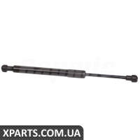 Rear Window Strut