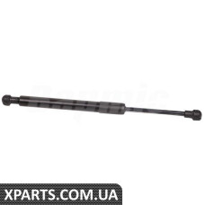Rear Window Strut