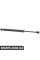 Rear Window Strut