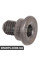 Brake Disc Screw