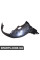 BF0115930071 Bapmic Кришка картера переднього колеса