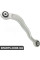 Rear Control Arm