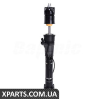 Задній амортизатор Bapmic BF0321330001 (аналог A1663200930)