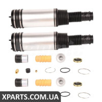 Задній амортизатор Spring Bapmic BF0321330010 (аналог Alt. Ref.: A2203205013)