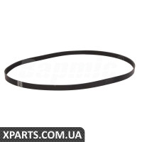 Timing Belt