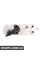 Transmission Oil Cooler