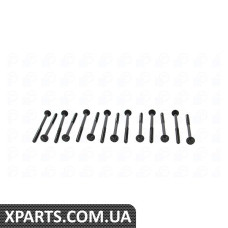 Болти головки блоку BMW 3-7 (E90-93) X3-X6 09-(к-кт) BGA - BK2305