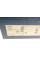 Диск тормозной (задний) Bosch 0986479R15