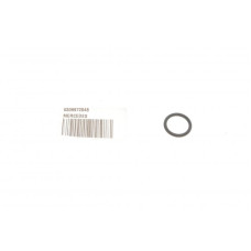 Кільце ущільнююче системи охолодження Mercedes-Benz A0309972048