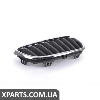 51137295524 BMW Передні грати - праворуч