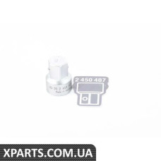 83302450487 BMW Вставка для торцевого ключа - вказана ціна за штуку