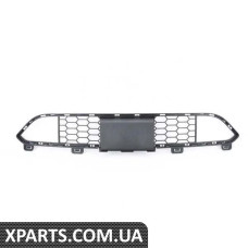 51118056225 BMW ГРИЛЬ, ЦЕНТР НИЖНІЙ
